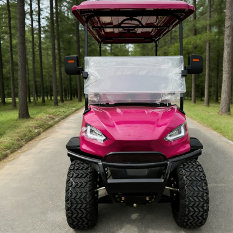 Carrito de Golf Eléctrico de A - Hunting Outdoor Media reseña y precio