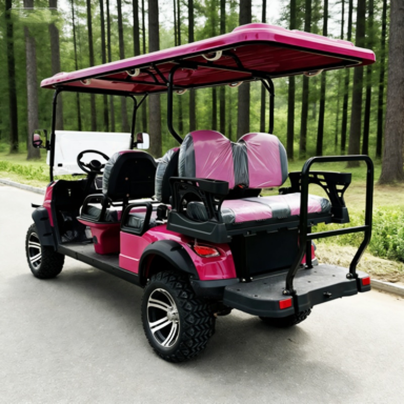 Carrito de Golf Eléctrico de A - Hunting Outdoor Media reseña y precio