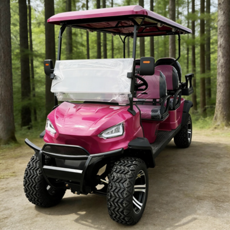 Carrito de Golf Eléctrico de A - Hunting Outdoor Media reseña y precio